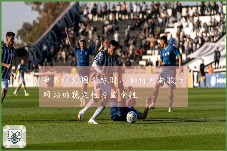世界杯外围买球时，如何判断投注网站的稳定性与安全性