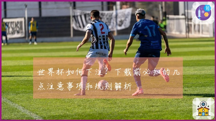 世界杯如何下注？下载前必知的几点注意事项和规则解析