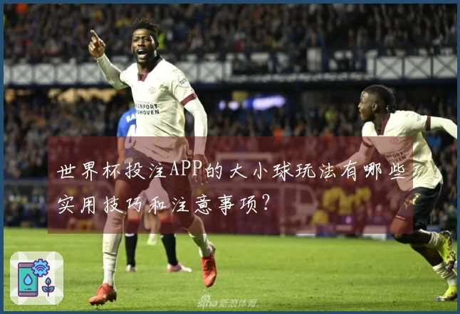 世界杯投注APP的大小球玩法有哪些实用技巧和注意事项？