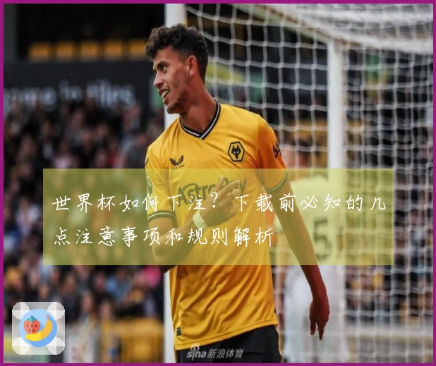 世界杯如何下注？下载前必知的几点注意事项和规则解析